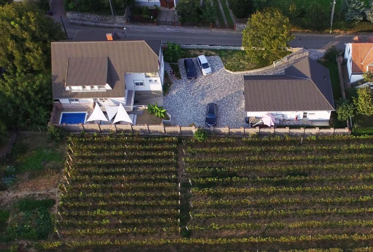 Szabó Vendégház Villány Exterior foto